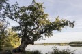 patrick_b brenne sept 2017 6